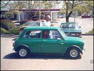 Green Mini